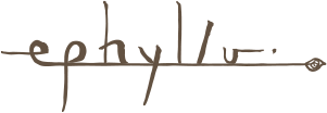 名古屋で大人の女性のアクセサリーならephyllu（エピュリュ）