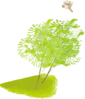 木